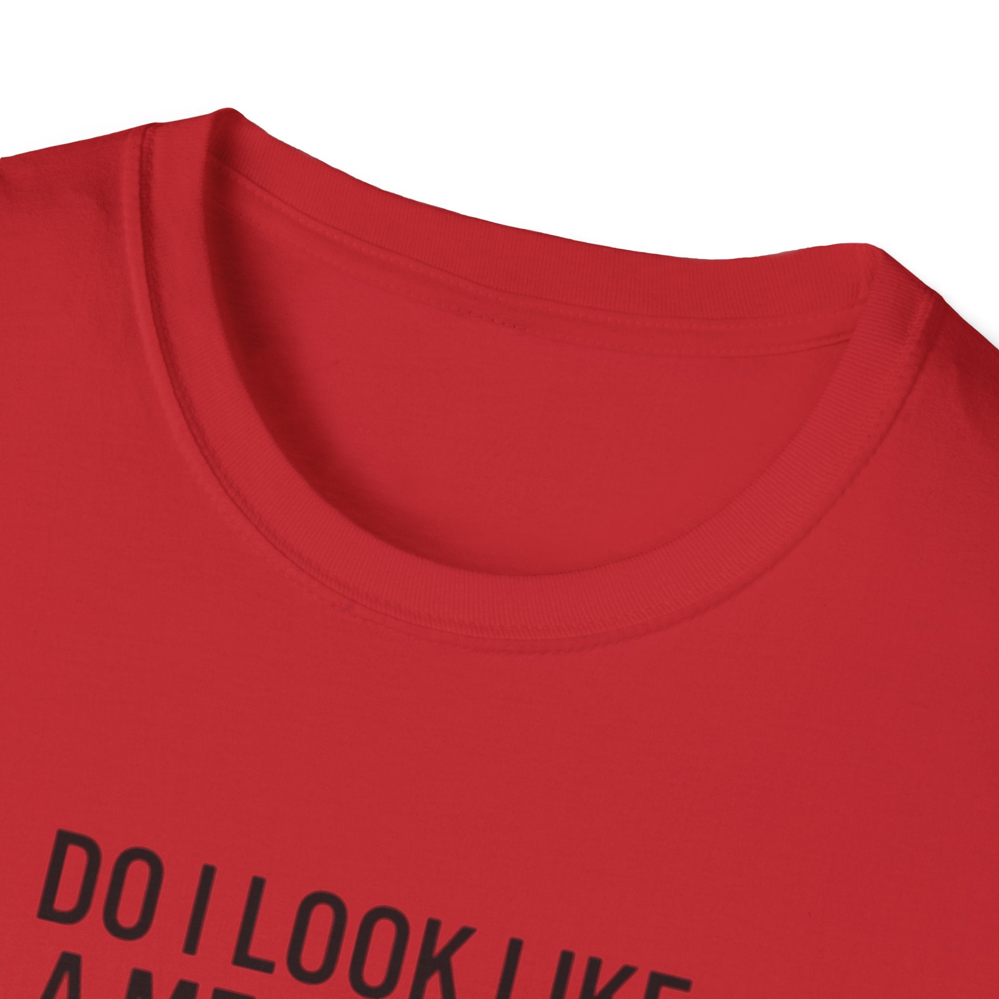 Mechanic Pilot T‑Shirt — "Do I Look Like a Mechanic?" Funny Aviation Tee