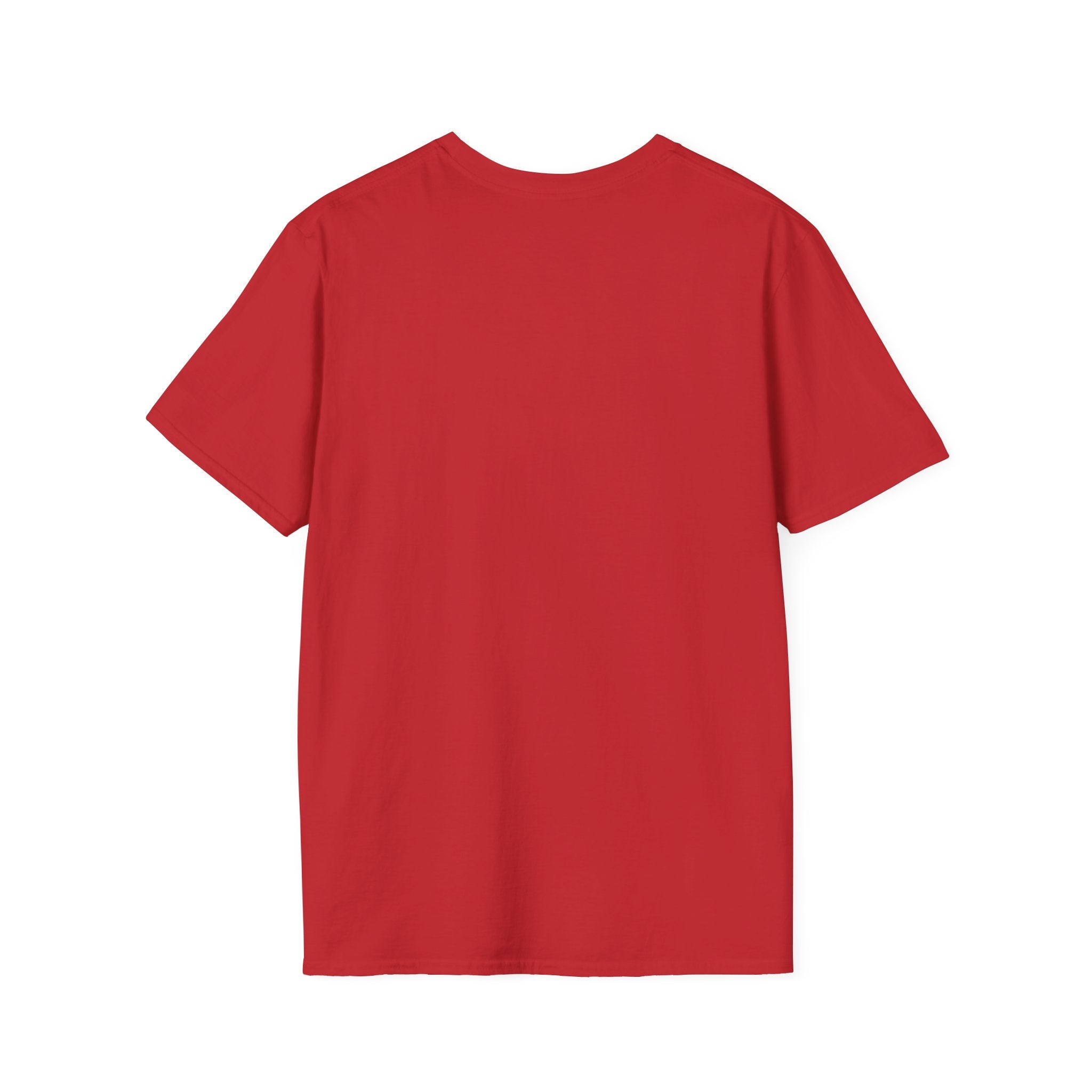 Mechanic Pilot T‑Shirt — "Do I Look Like a Mechanic?" Funny Aviation Tee