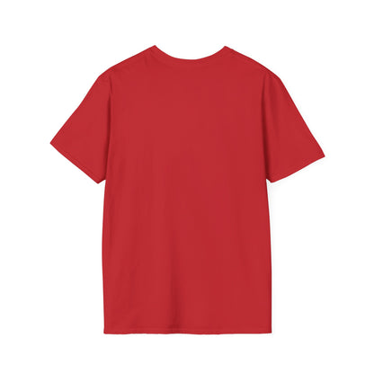 Mechanic Pilot T‑Shirt — "Do I Look Like a Mechanic?" Funny Aviation Tee